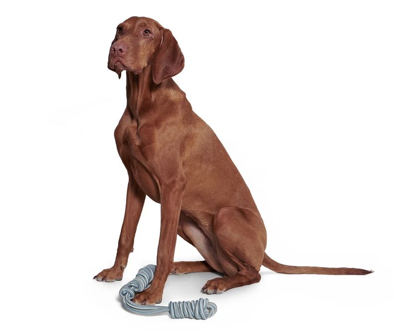 Tchibo 641630 Köpekler Için Halat Oyuncak