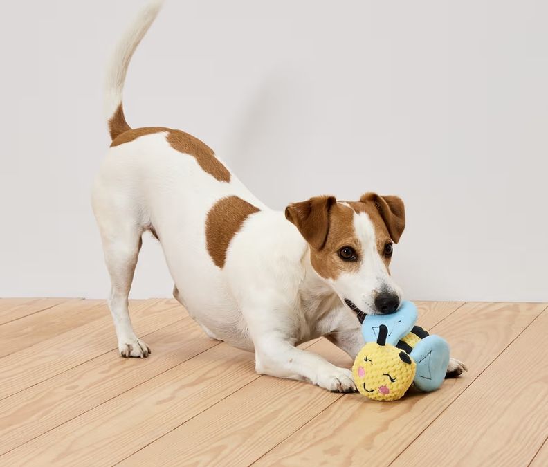 Tchibo 731032 Pelüş Köpek Oyuncağı »Arı«, Küçük