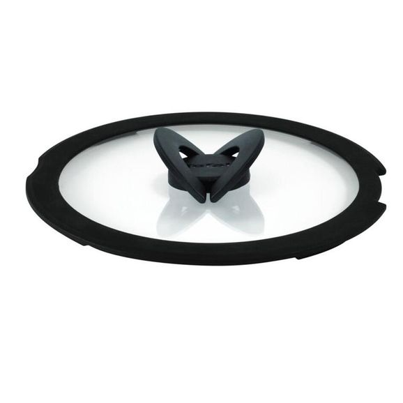 TEFAL 1199po Ingenio Cam Kapak 22 Cm