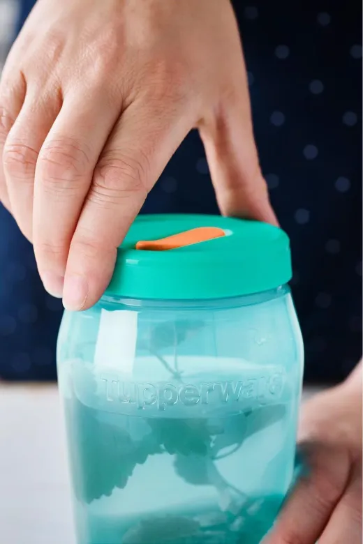 Tupperware YSR8358 Evrensel Serisi Gıda Saklama Kavanozu Deniz Mavisi 550 Ml