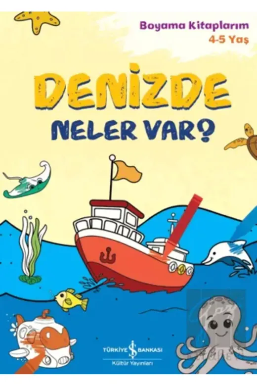 TÜRKİYE İŞ BANKASI KÜLTÜR YAYINLARI KB9786254059643123 Denizde Neler Var?
