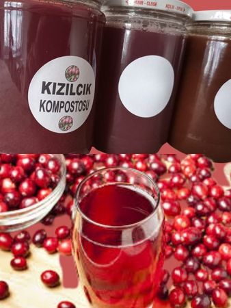 Yabani kızılcık suyu konsatresi