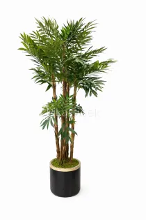 Yapay Kentia Areka 180 cm