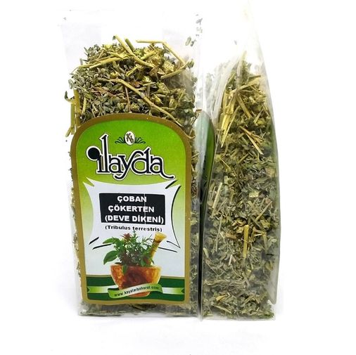 1276996 İlayda Çoban Çökerten 35 G