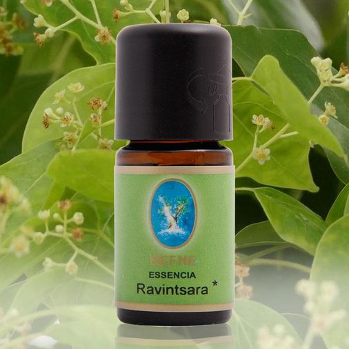 2661191 Defne Nuka Essencia Ravintsara Yağı 5 Ml