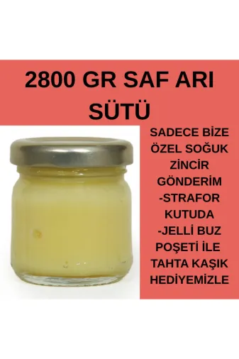 APİMED ASDGS3453 Muhteşem Firsat – Saf Arı Sütü 2800 Gr Strafor Kutuda, Buz Poşeti Ile Soğuk Zincir Gönderim