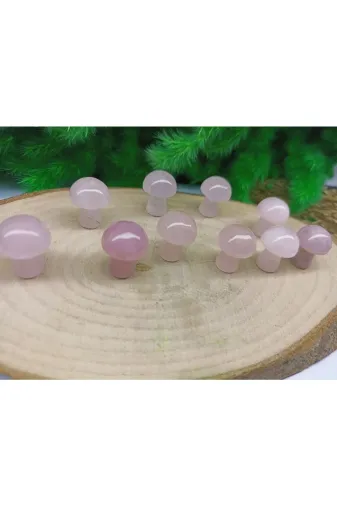 ART LİFE DOĞALTAŞ Natural Stones ART LİFE DOĞALTAŞ Natural Stones 300416 Pembe Kuvars Mantar Doğaltaş Dekorasyon (Sertifikalı)