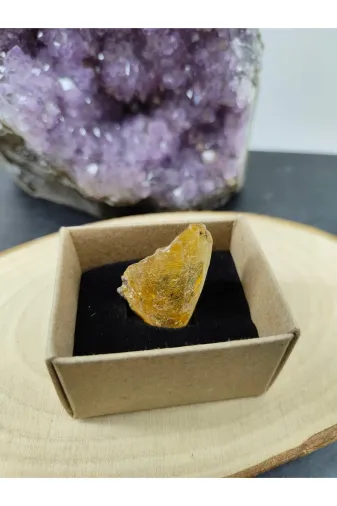 ART LİFE DOĞALTAŞ Natural Stones ART LİFE DOĞALTAŞ Natural Stones 300393 Fosilli Kehribar Doğal Taş Dekoratif Obje (Sertifikalı)