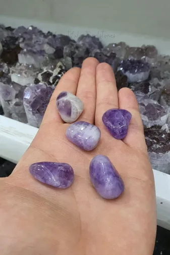 ART LİFE DOĞALTAŞ Natural Stones ART LİFE DOĞALTAŞ Natural Stones 300274 Ametist 5 Adet Küçük Boy Doğal Taş ( Cüzdan - Canta - Ev Aksesuarı )