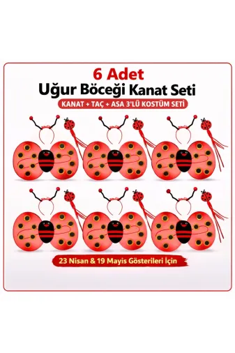 Balance Life GROUP-2588014 Mey İthalat® 6'lı Uğur Böceği Ateş Böceği Kostüm Seti – Kanat Taç Asa