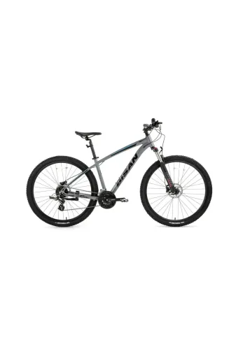 Bisan MTX730026 Mtx7300 26 Jant 24 Vites 48Cm Erkek Dağ Bisikleti Gri - Mavi