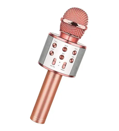 Bluetooth Karaoke Mikrofon (4745)