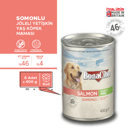BonaCibo köp6568046165 Jöleli Somonlu Yaş Yetişkin Köpek Maması Yetişkin Köpekler Için Tam Yaş Mama 400 Gr X 6 Adet