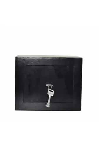 Cantayurdu Kasa318 Anahtarlı Ev Ofis Kasası Çelik Kasa 30X19X27 Cm