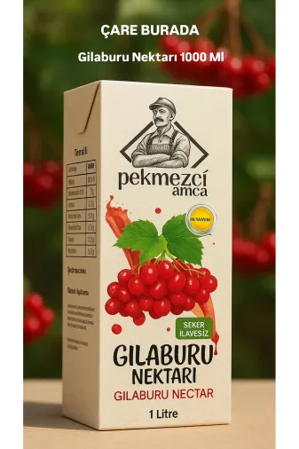 Çare Burada P5464S5621 Gilaburu Nektarı 1 Litre