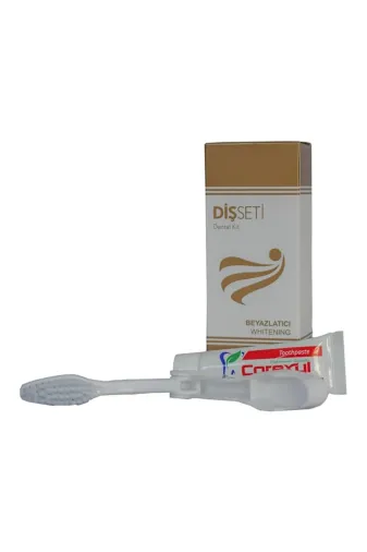 clean stoff hrn7 Otel Tipi Diş Seti Macun Fırça 100Lü Paket