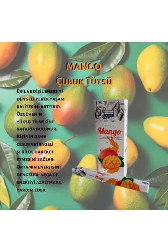Darshan çaremango Mango Çubuk Tütsü 20 Adet
