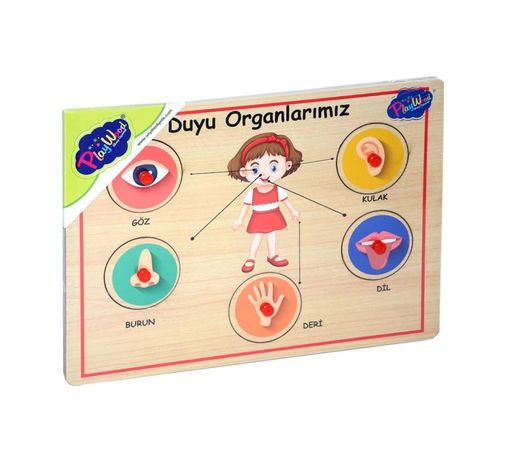 Diğer 123782207 Mey İthalat 166/167 Onyıl, Ahşap Tutmalı Organlar