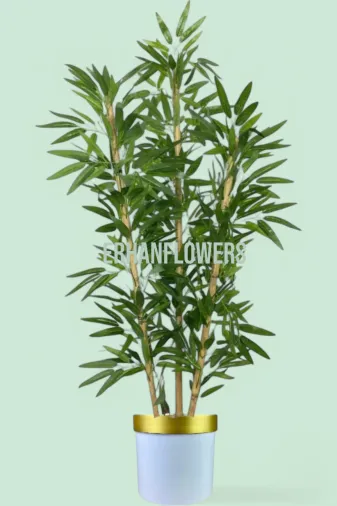 ERHAN FLOWERS ÇİÇEK & DEKORASYON erh.10014 150 Cm Islak Doku Bambu Ağaç Beyaz Gold Saksıda