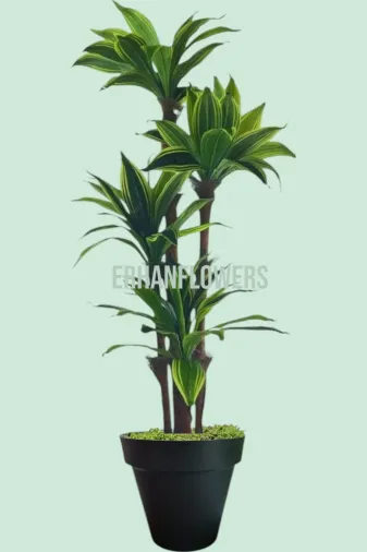 ERHAN FLOWERS ÇİÇEK & DEKORASYON erh.10048 Lifli 3 Govdeli Yapay Yuka Ağaç Yapay Sıyah Plastik Saksıda