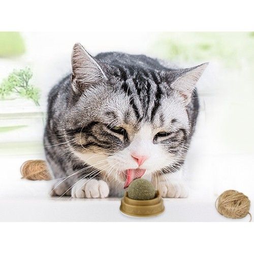 ETT 562741420269 Kedi Nanesi Oyun Topu