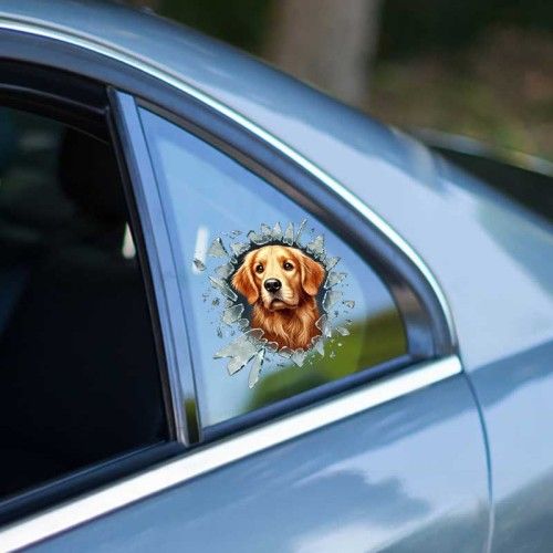 ETT 562741420584 Fulcar Golden Araç Stickerı