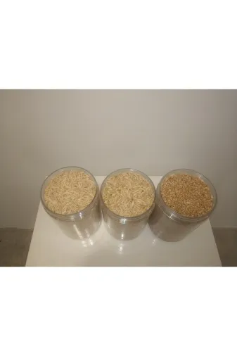 GoldMindMix kmryuarbu0.5 Kemirgen Yemi Üçlü Set 3X0.5 Kg (Yulaf Arpa, Buğday) Ayrı Poşetlerde.