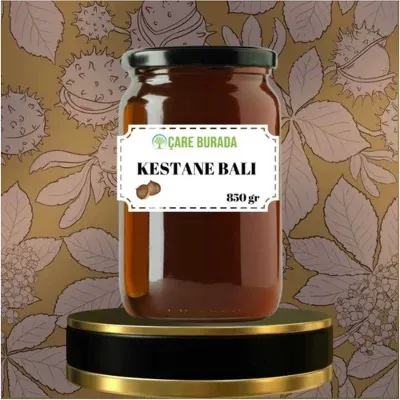 Kestane Balı Zonguldak Bölgesi 850 gr