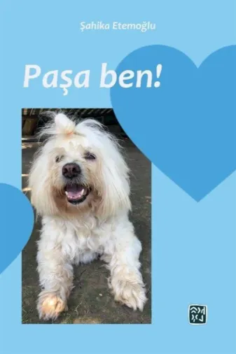 Kutlu Yayınevi 9786258389159 Paşa Ben!