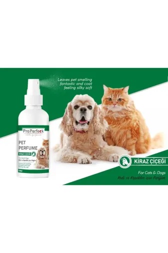 markapet GND-PRFM-CRRYBLSSM Pro Perfeck Kedi Ve Köpek Kiraz Çiçeği Parfüm 100 Ml