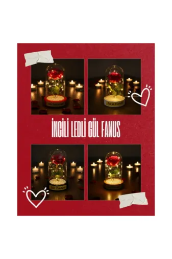MEKs TTT-24242453510 İncili Ledli Gül Fanus