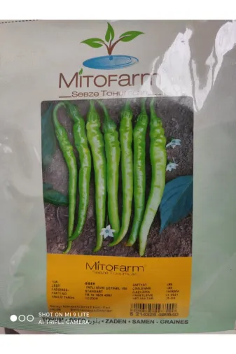 Mitofarm Tohumculuk Tohum067 Mitofarm Tatlı Yeşil Sivri Biber