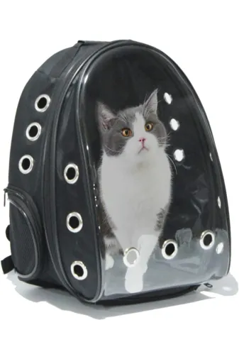 Moda West Pvc5520 Şeffaf Kırılmaz Cam 15 Hava Kanallı Kedi Köpek Kuş Evcil Hayvan Taşıma Sırt Çanta