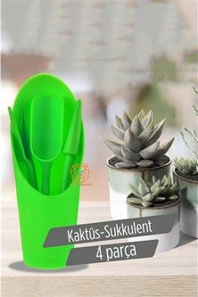 Modacar Kaktüs Sukkulent Dikim Seti