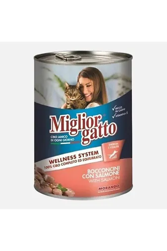 MORANDO Somonlu Yetişkin Kedi Konserve 1 Adet