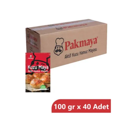 PAKMAYA TOZ KURU MAYA 100 GR (40 Adet) Koli