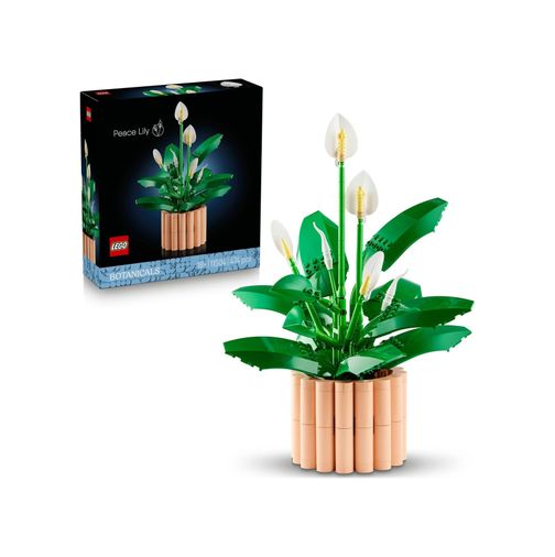 ST 133249404 Barış Çiçeği 11504 - Yetişkin Kadınlar Ve Erkekler İçin Farklı Aşamalarda 6 Barış Çiçeği İçeren Sevgililer Günü&apos Ne Özel Koleksiyonluk Dekoratif Model Yapım Seti 474 Parça