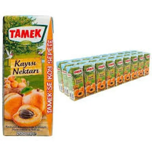 TAMEK KAYISI NEKTARI 200 ML (27 Adet) Koli