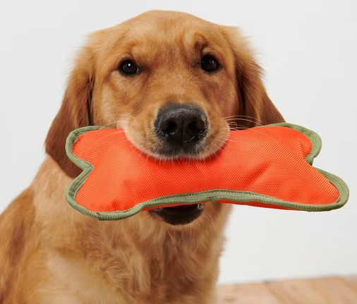 Tchibo 680379 Köpek Oyuncağı Kemik