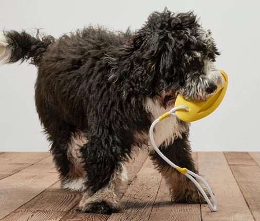 Tchibo 697042 Köpek Atma Oyuncağı Ve Su Oyuncağı