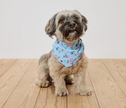 Tchibo 731018 Çift Taraflı Köpek Fuları