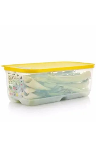 Tupper 515269694 Ware 6 Litre Sera