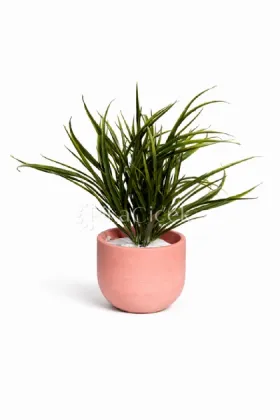 Yapay Saz demet 40 cm