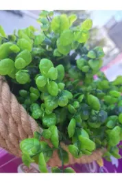 YASİMA1 ADET şimşir YEŞİL YAPAY ÇİÇEK EV DEKORASYON ARANJMAN DEKOR BALKON 30 CM
