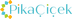 PİKA ÇİÇEK