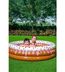 01101988 Bestway 51144, 3 Boğum, Dondurma Temalı Şişme Çocuk Havuzu (160 X 38 Cm) 2