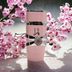 8854785698 Lattafa Yara  Eau De Parfüm 100 Ml 1