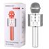 AK00728 Dvip Karaoke Mikrofon Bluetooth Hoparlör 3