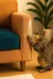 Arnee M1LMN01 20 Adet Kedi Koltuk Tırmalama Koruyucu Şeffaf Yapışkanlı Mobilya Tırmalama Önleyici Bandı 20X50 Cm 3
