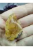 ART LİFE DOĞALTAŞ Natural Stones ART LİFE DOĞALTAŞ Natural Stones 300393 Fosilli Kehribar Doğal Taş Dekoratif Obje (Sertifikalı) 2